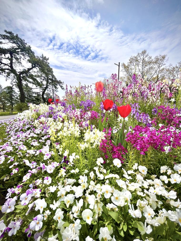 くじゅう花公園・久住ガーデン
