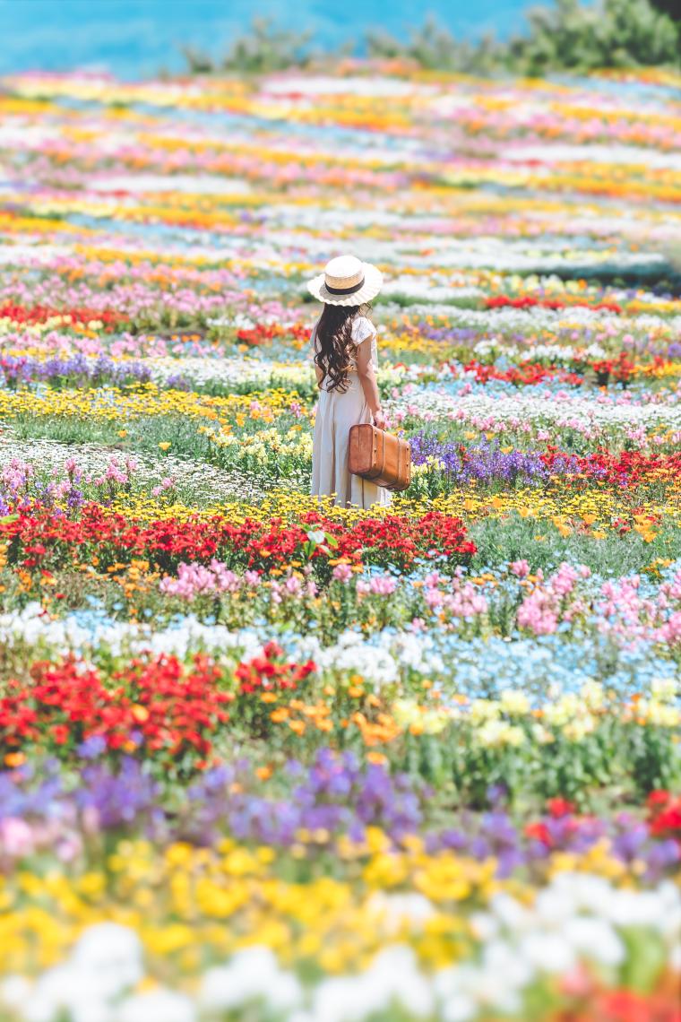 くじゅう花公園スプリングフラワーフェスタ