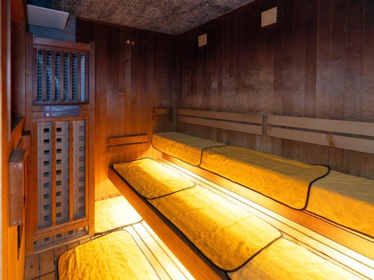 天然温泉 凌雲の湯 御宿 野乃浅草（ドーミーイン・御宿野乃 ホテルズグループ）