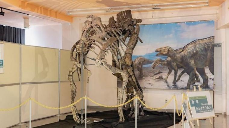 町全体が「恐竜ワールド」！日本屈指の発見がざくざくの博物館をたっぷり満喫するポイントを獣医師ママライターが解説｜北海道・むかわ町「穂別博物館」