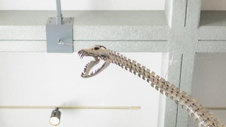 町全体が「恐竜ワールド」！日本屈指の発見がざくざくの博物館をたっぷり満喫するポイントを獣医師ママライターが解説｜北海道・むかわ町「穂別博物館」