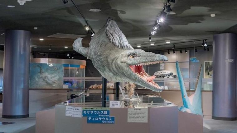 町全体が「恐竜ワールド」！日本屈指の発見がざくざくの博物館をたっぷり満喫するポイントを獣医師ママライターが解説｜北海道・むかわ町「穂別博物館」