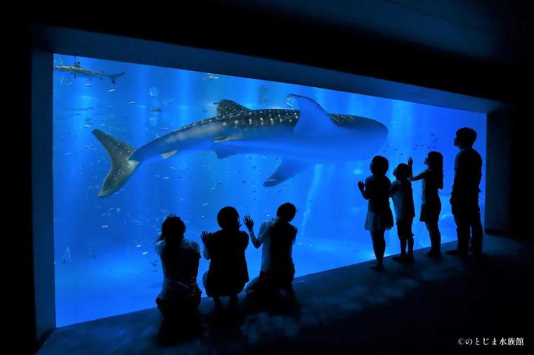 おかえり！イルカ・アシカの展示復活で完全再開「のとじま水族館」