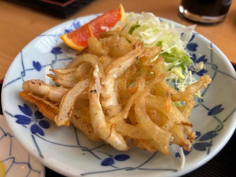 朝どれ! 漁協の“お母さん”の味【JF 女性部食堂】富山湾の宝石「シロエビ」もランチで