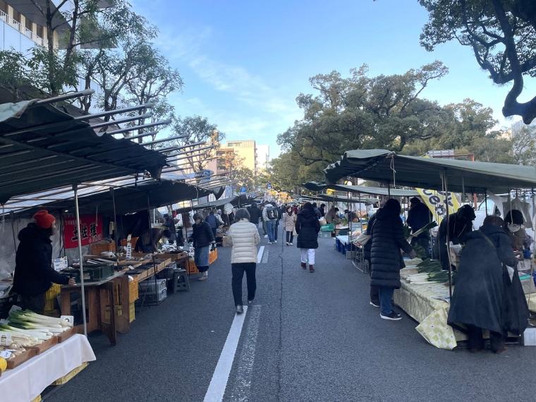 県外出身スタッフおすすめ♪高知定番モデルコース