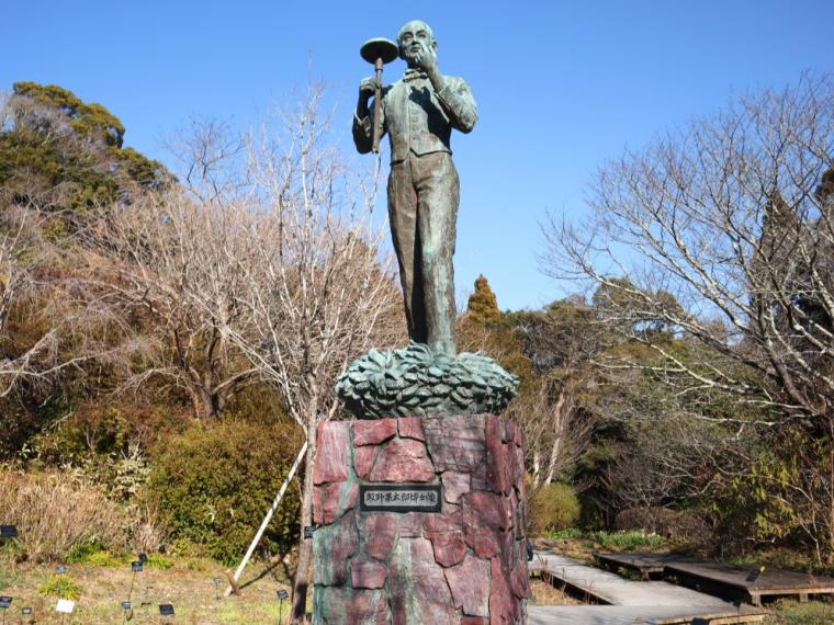 県外出身スタッフおすすめ♪高知定番モデルコース