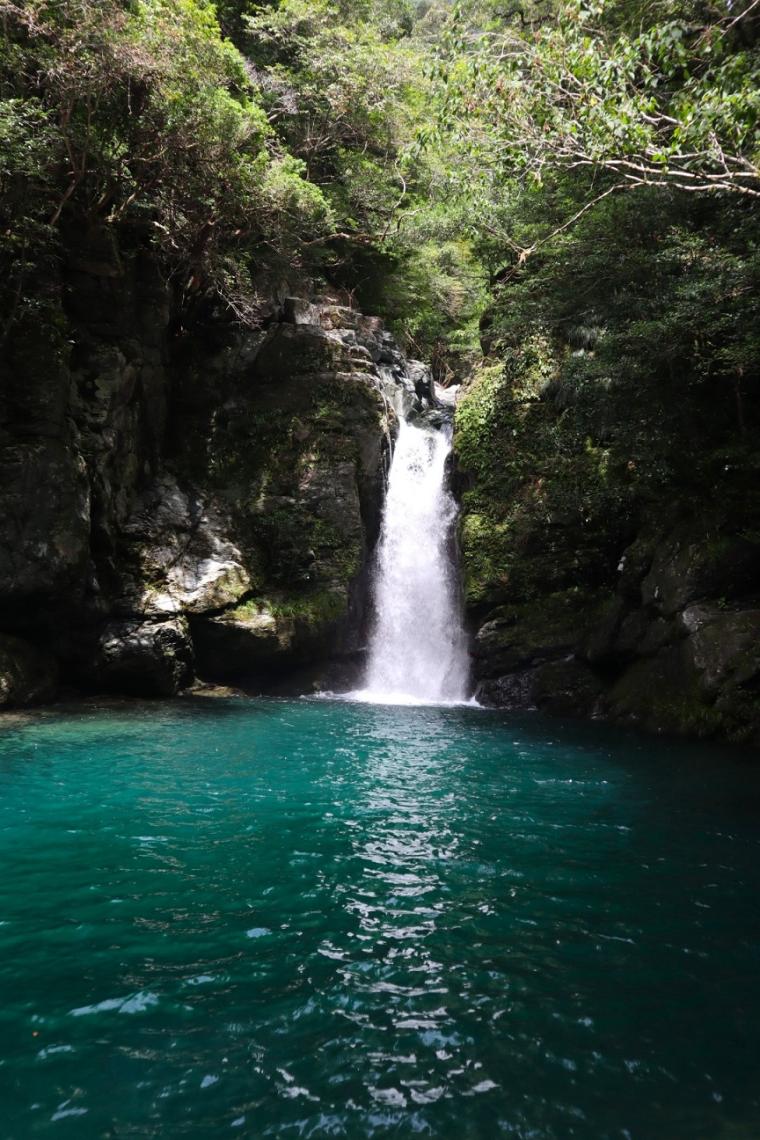 県外出身スタッフおすすめ♪高知定番モデルコース