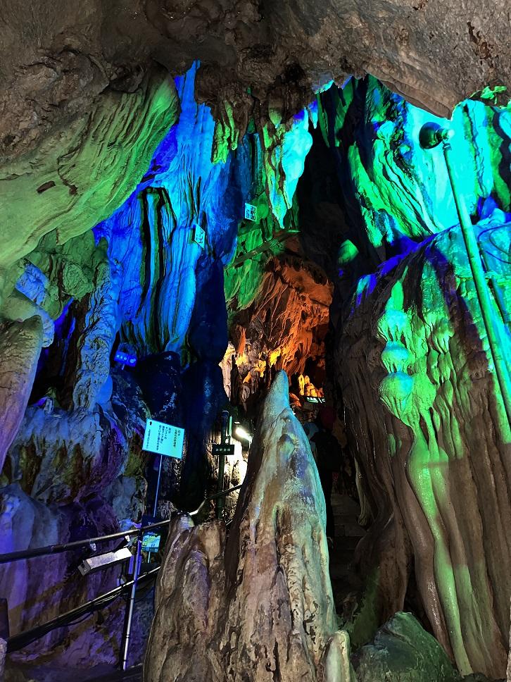 県外出身スタッフおすすめ♪高知定番モデルコース