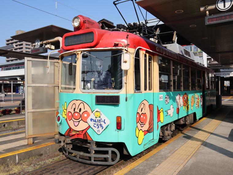 県外出身スタッフおすすめ♪高知定番モデルコース