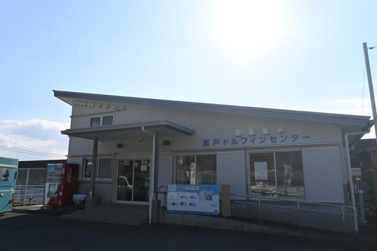 大人もはまる！室戸ドルフィンセンターでイルカトレーナー初体験！