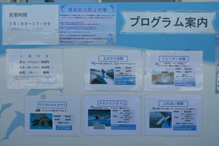 大人もはまる！室戸ドルフィンセンターでイルカトレーナー初体験！