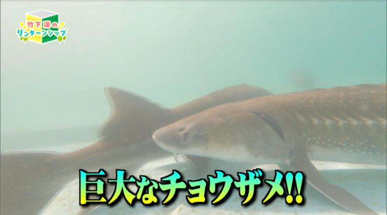 宮崎の高級食材「日南キャビア」を育てる建設会社—日南キャビアの挑戦