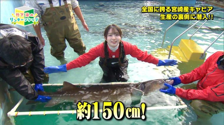 宮崎の高級食材「日南キャビア」を育てる建設会社—日南キャビアの挑戦