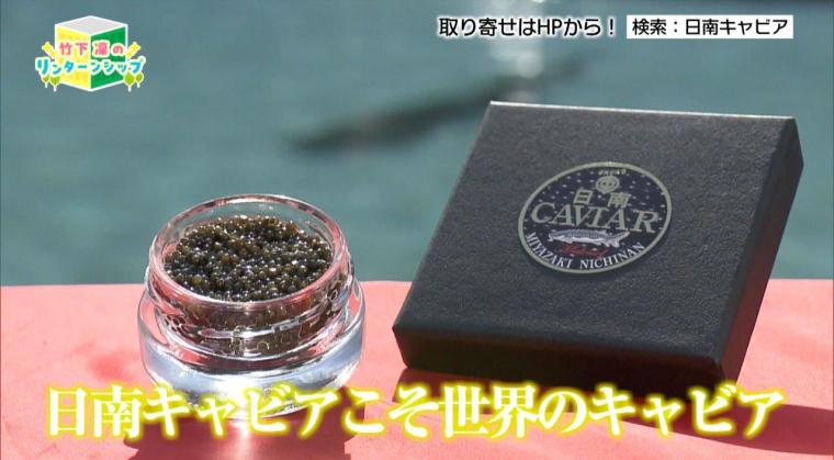 宮崎の高級食材「日南キャビア」を育てる建設会社—日南キャビアの挑戦