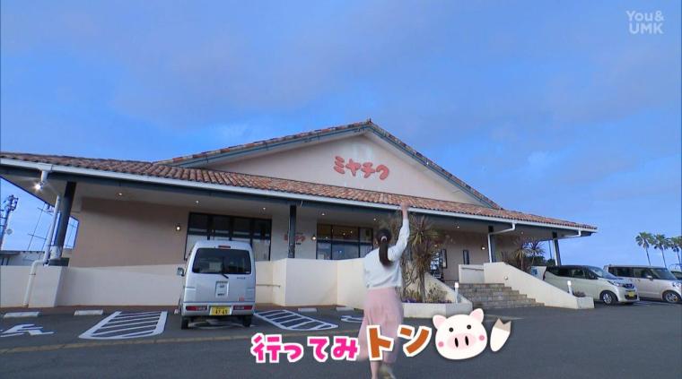 春バテを吹き飛ばす！宮崎の絶品とんかつ＆雑炊