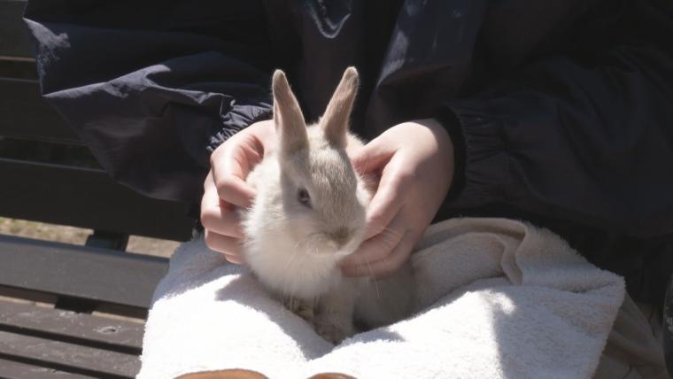 癒されること間違いなし！大分県内で動物の赤ちゃん続々誕生
