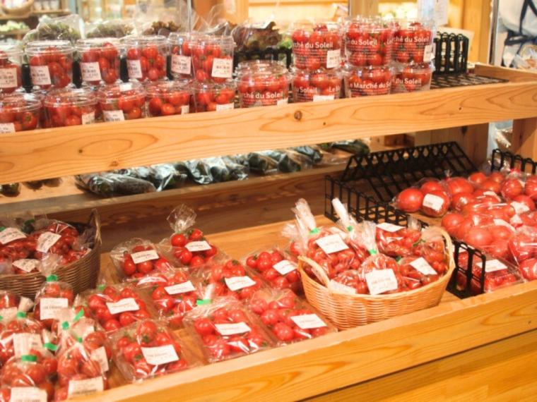西日本最大級の広さ！丸一日遊べる「道の駅 神戸フルーツ・フラワーパーク 大沢」