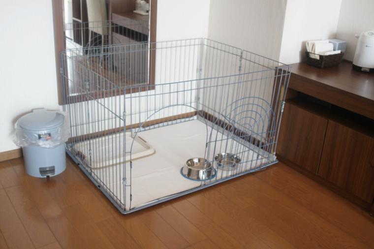 西日本最大級の広さ！丸一日遊べる「道の駅 神戸フルーツ・フラワーパーク 大沢」