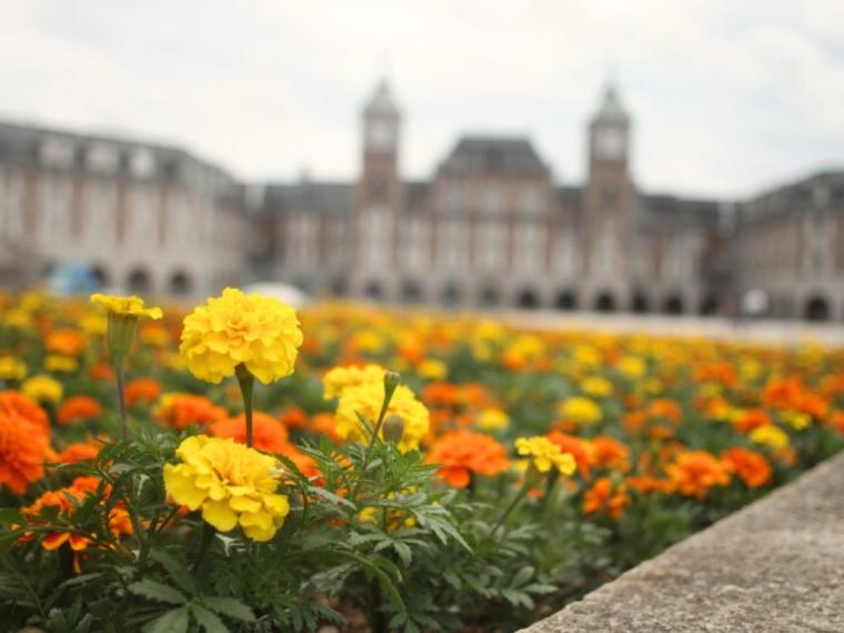 西日本最大級の広さ！丸一日遊べる「道の駅 神戸フルーツ・フラワーパーク 大沢」