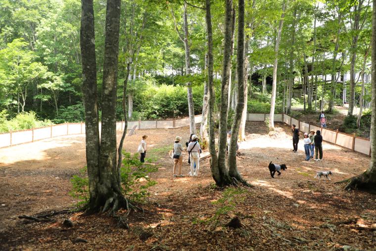 「白馬岩岳マウンテンリゾート」ドッグラン