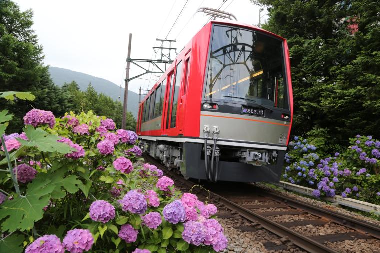 箱根登山電車・アレグラ号