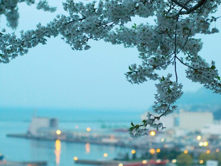 「人はなぜ海の見える坂を登るのか」爽快感のある景色…難易度別の“坂”レポ【北海道・小樽】