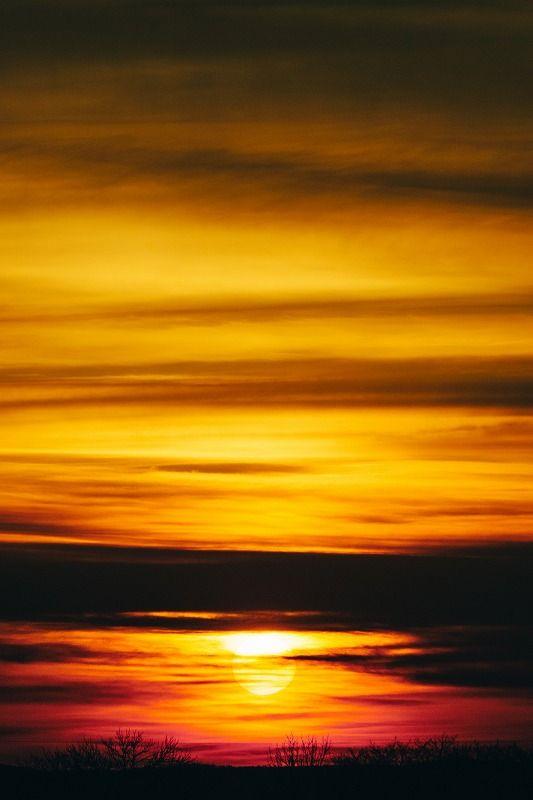 【北海道の絶景】やわらかく、優しい。春間近の十勝平野で見た、彩りの始まり／地元カメラマンの写真13枚