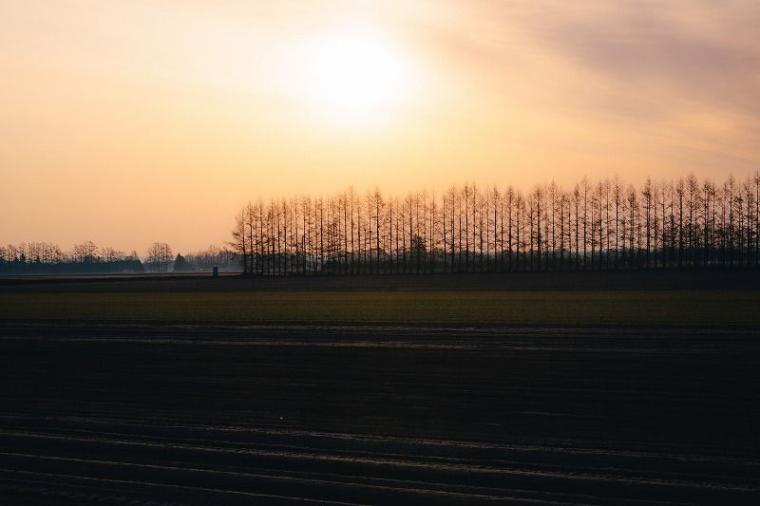 【北海道の絶景】やわらかく、優しい。春間近の十勝平野で見た、彩りの始まり／地元カメラマンの写真13枚