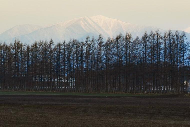 【北海道の絶景】やわらかく、優しい。春間近の十勝平野で見た、彩りの始まり／地元カメラマンの写真13枚