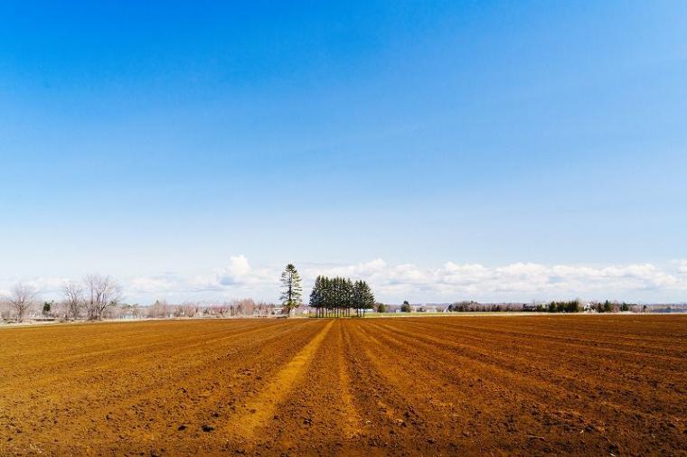 【北海道の絶景】やわらかく、優しい。春間近の十勝平野で見た、彩りの始まり／地元カメラマンの写真13枚