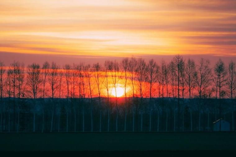 【北海道の絶景】やわらかく、優しい。春間近の十勝平野で見た、彩りの始まり／地元カメラマンの写真13枚