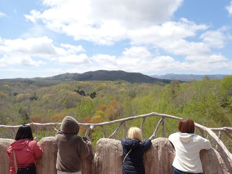 春にも「紅葉」がある 淡いグラデーションを作る、知られざる“木の花”の世界と、隠された戦略【森に行こう#2】
