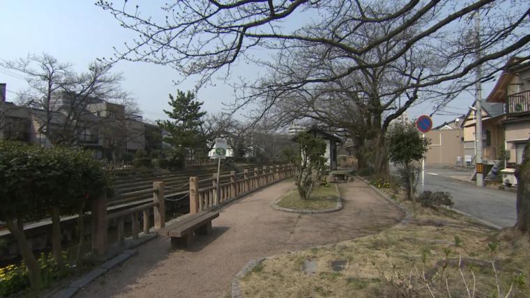 居酒屋だけど豪華ランチが魅力! 富山市清水町【魚楽】魚と肉から選べる贅沢どんぶりセット