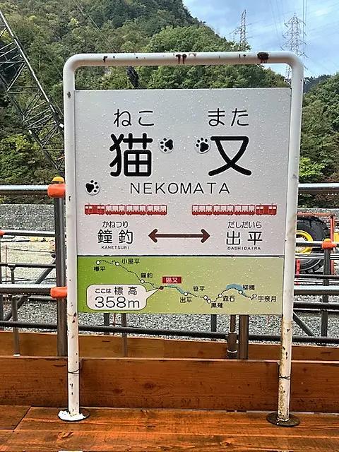 うちの猫も名誉助役に！トロッコ電車で全国唯一“猫”がつく「猫又駅」へ【黒部峡谷鉄道】
