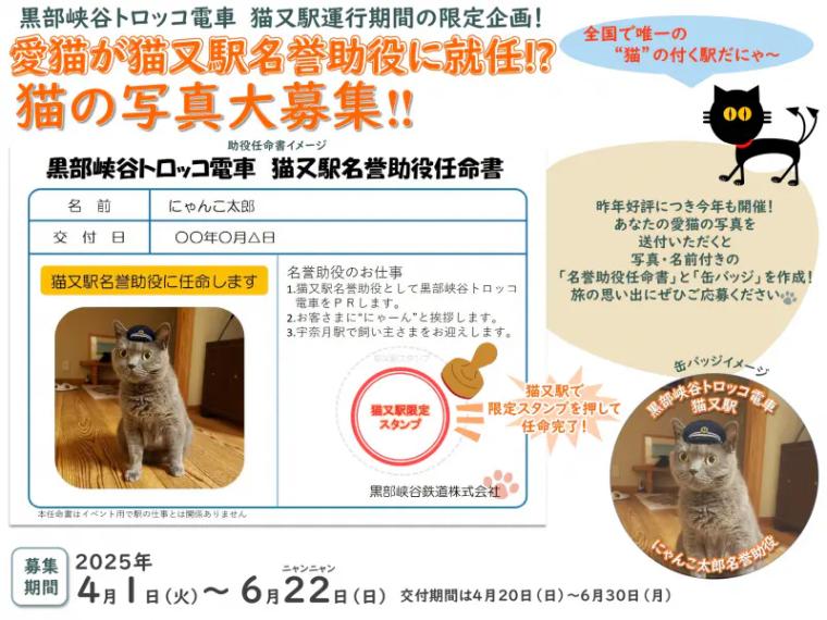うちの猫も名誉助役に！トロッコ電車で全国唯一“猫”がつく「猫又駅」へ【黒部峡谷鉄道】