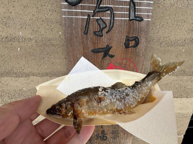 四万十川の天然アユを四万十市「鮎市場」で食べ尽くす！！