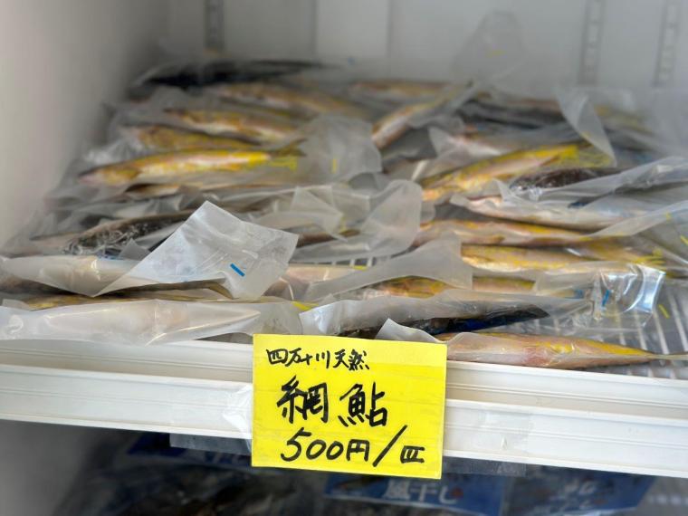 四万十川の天然アユを四万十市「鮎市場」で食べ尽くす！！