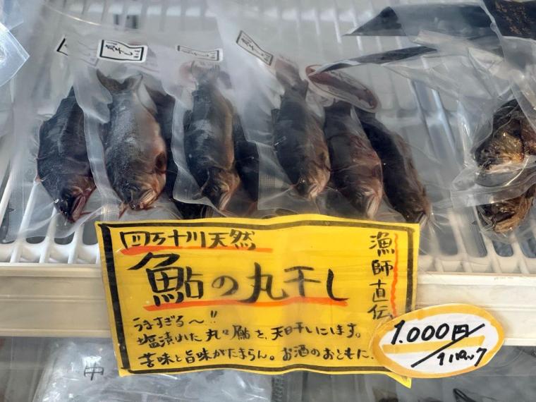 四万十川の天然アユを四万十市「鮎市場」で食べ尽くす！！