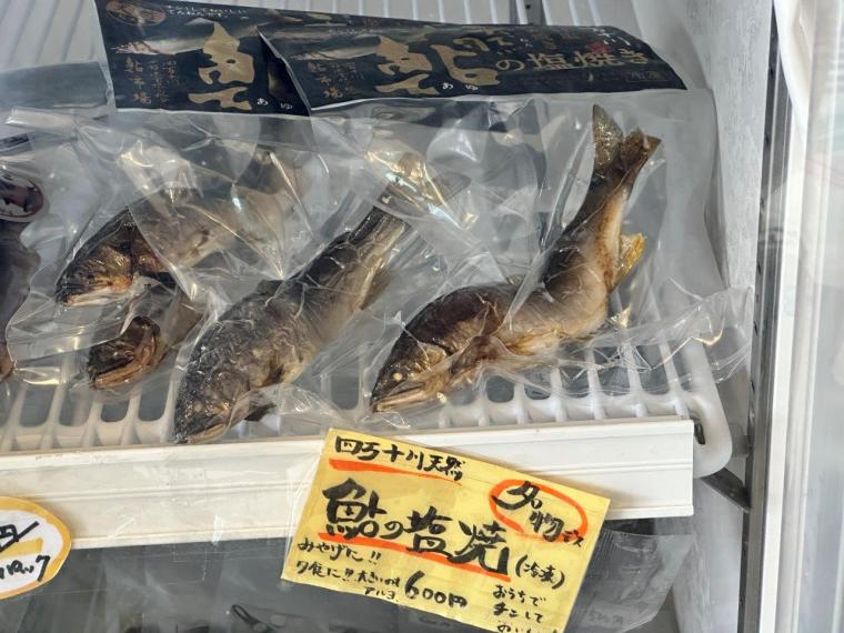 四万十川の天然アユを四万十市「鮎市場」で食べ尽くす！！