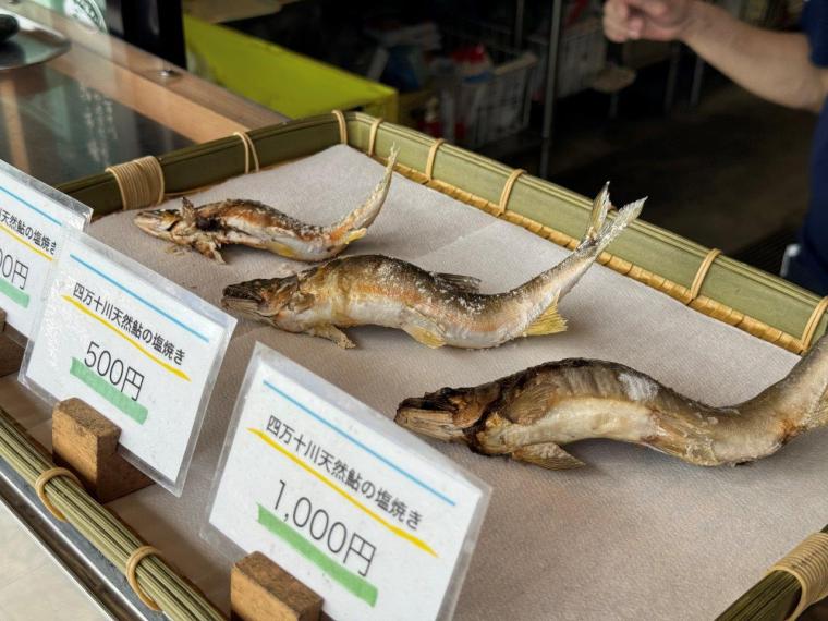 四万十川の天然アユを四万十市「鮎市場」で食べ尽くす！！