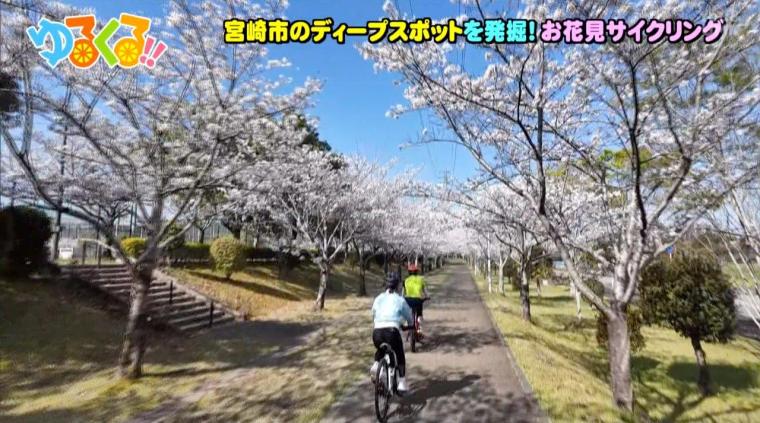 宮崎市のディープスポットを発掘！お花見サイクリング（4月15日放送）