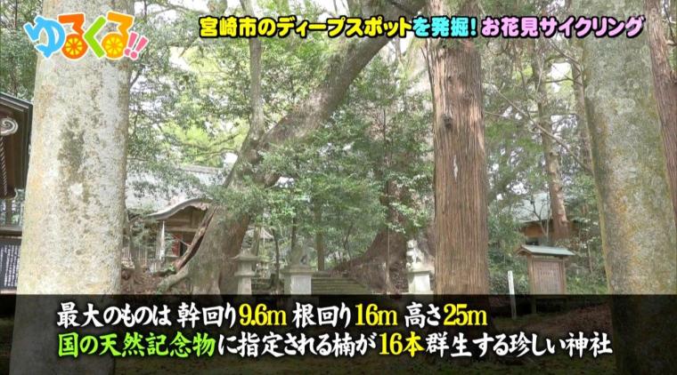 宮崎市のディープスポットを発掘！お花見サイクリング（4月15日放送）
