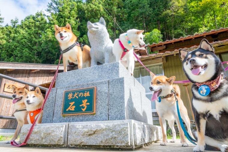柴犬のルーツとなった犬は島根県益田市に！道の駅やお食事処は柴犬にちなんだ商品がずらり！