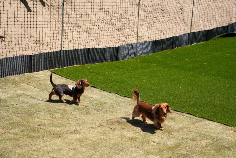 鳥取県岩美町に海と自然を活かした新観光スポットが登場！オーシャンビューのカフェ＆ギャラリーがある海の家