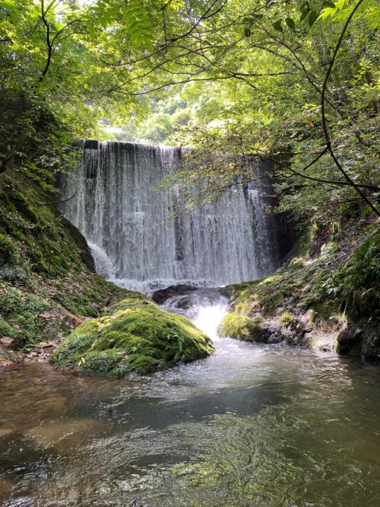 鳥取県岩美町に海と自然を活かした新観光スポットが登場！オーシャンビューのカフェ＆ギャラリーがある海の家