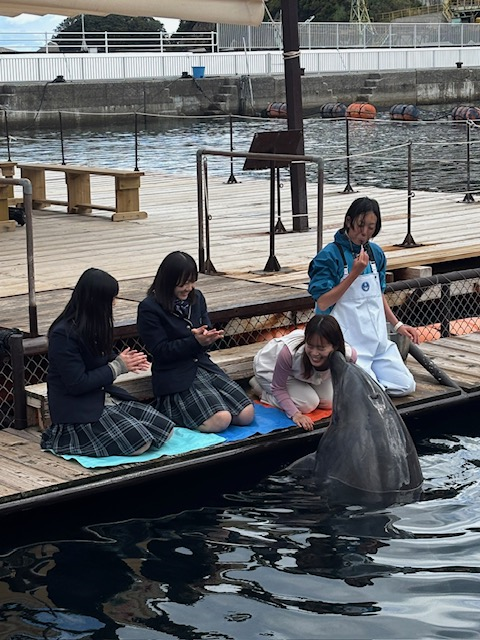 【大分】イルカとの握手にキス まるで友達になったような特別な体験