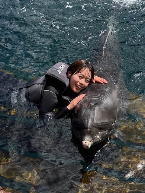 【大分】イルカとの握手にキス まるで友達になったような特別な体験