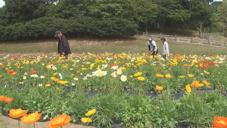 【大分県】GW の観光施設で最もにぎわったのは？物価高の影響も