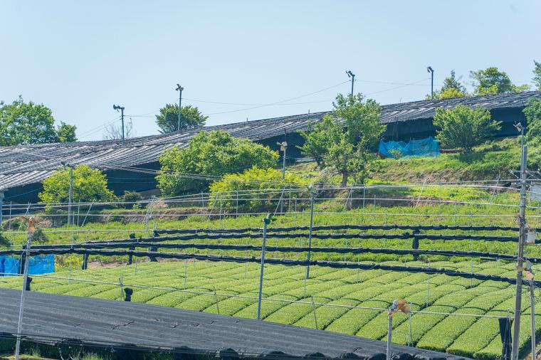 フェアフィールド･バイ･マリオット･京都みなみやましろ