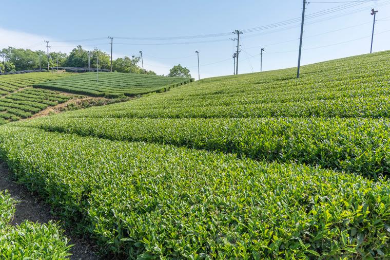 フェアフィールド･バイ･マリオット･京都みなみやましろ
